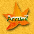 Accueil